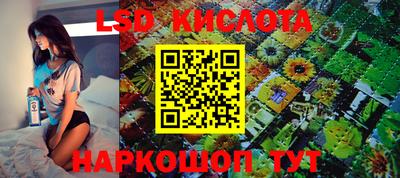 прущие грибы Конаково