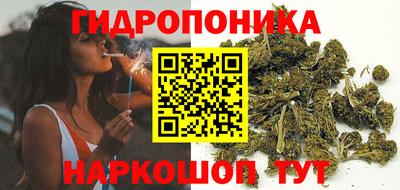 прущие грибы Конаково