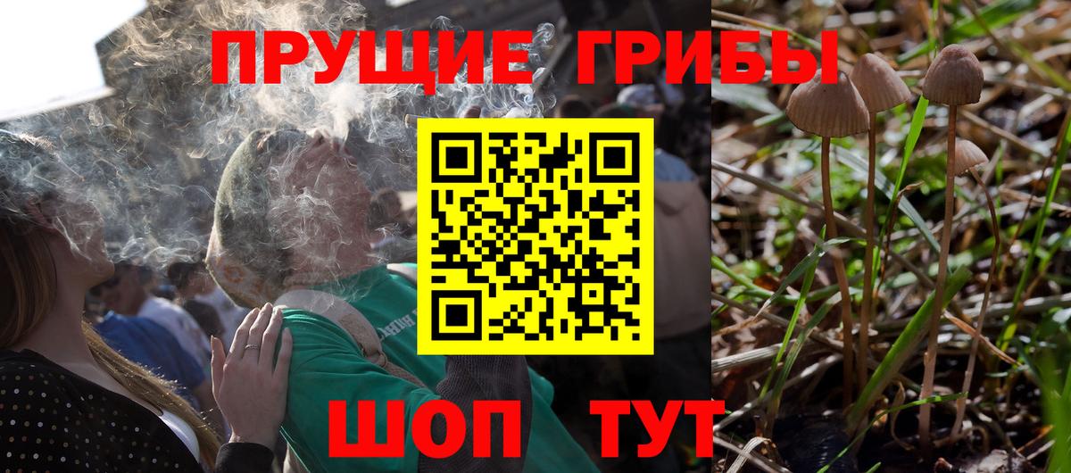закладки  Псилоцибиновые грибы Psilocybine cubensis  Вход с VPN  Ишимбай 